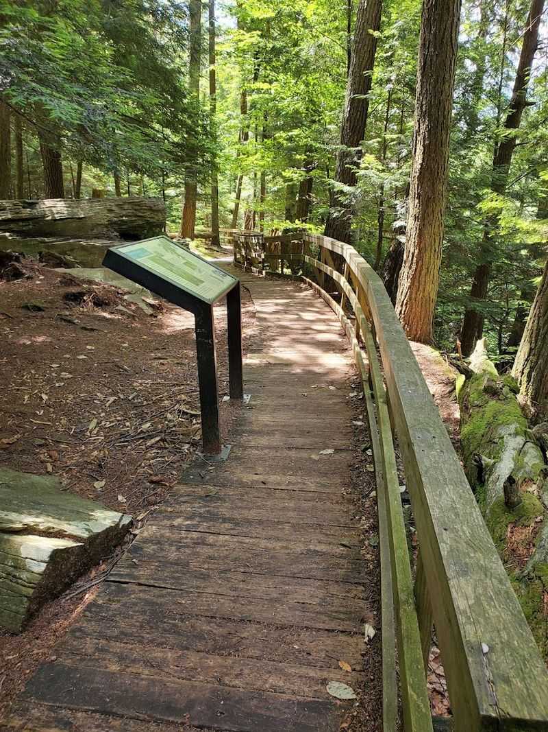 Salt Springs State Park