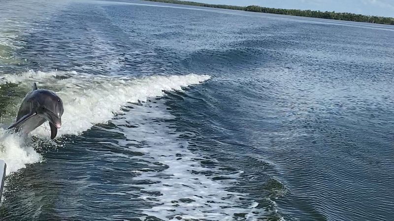 Ten Thousand Islands