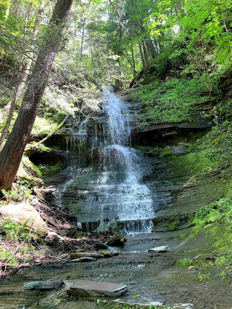 Colton Point State Park &ndash; Turkey Path West Rim