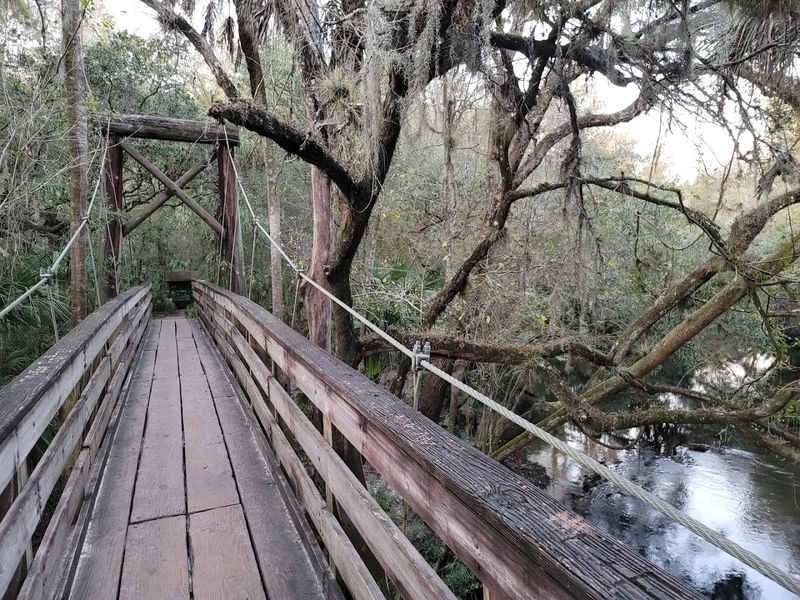 Hillsborough River State Park - Swamp Boardwalk Trail