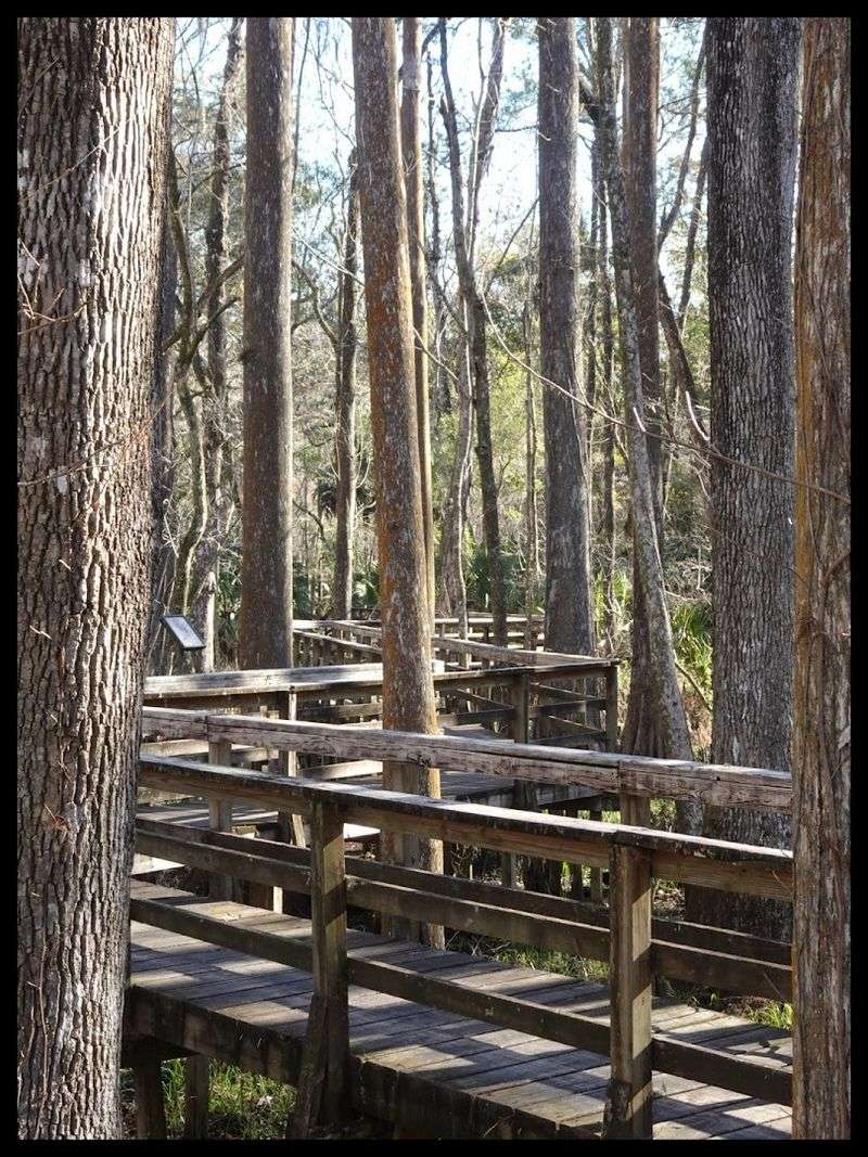 Lower Suwannee National Wildlife Refuge &mdash; Chiefland, FL