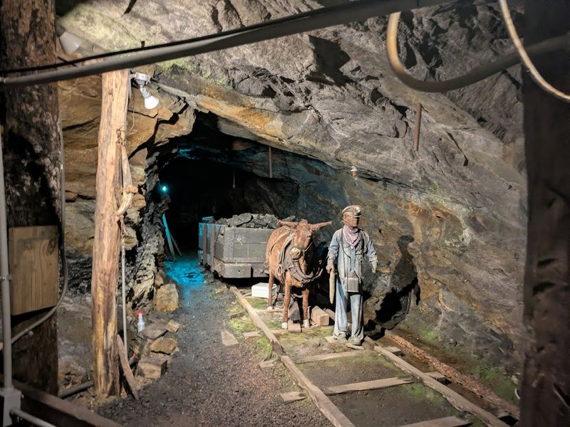 Tools and Techniques of the Trade