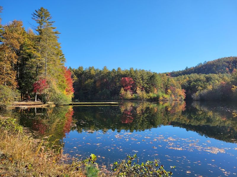 DuPont State Recreational Forest