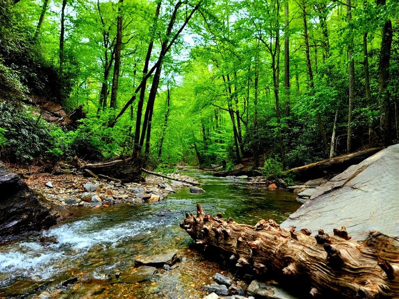 Pisgah National Forest Waterfalls (Looking Glass Falls area)