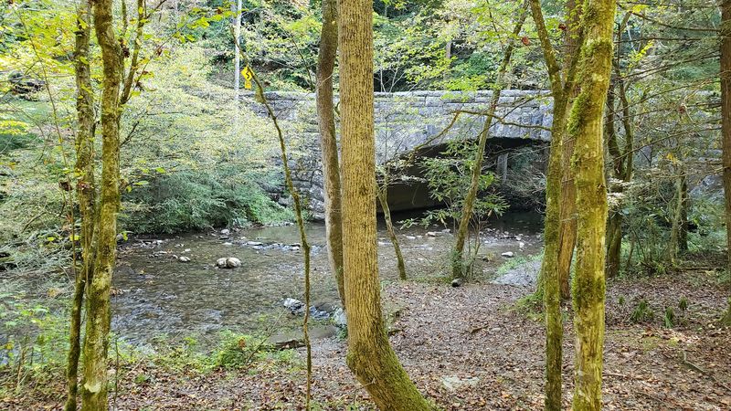 Schoolhouse Gap Trail (GSMNP)