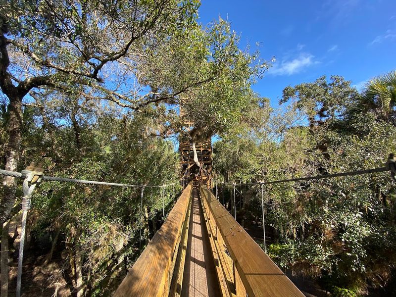 Myakka Canopy Walkway Trail - Myakka River State Park