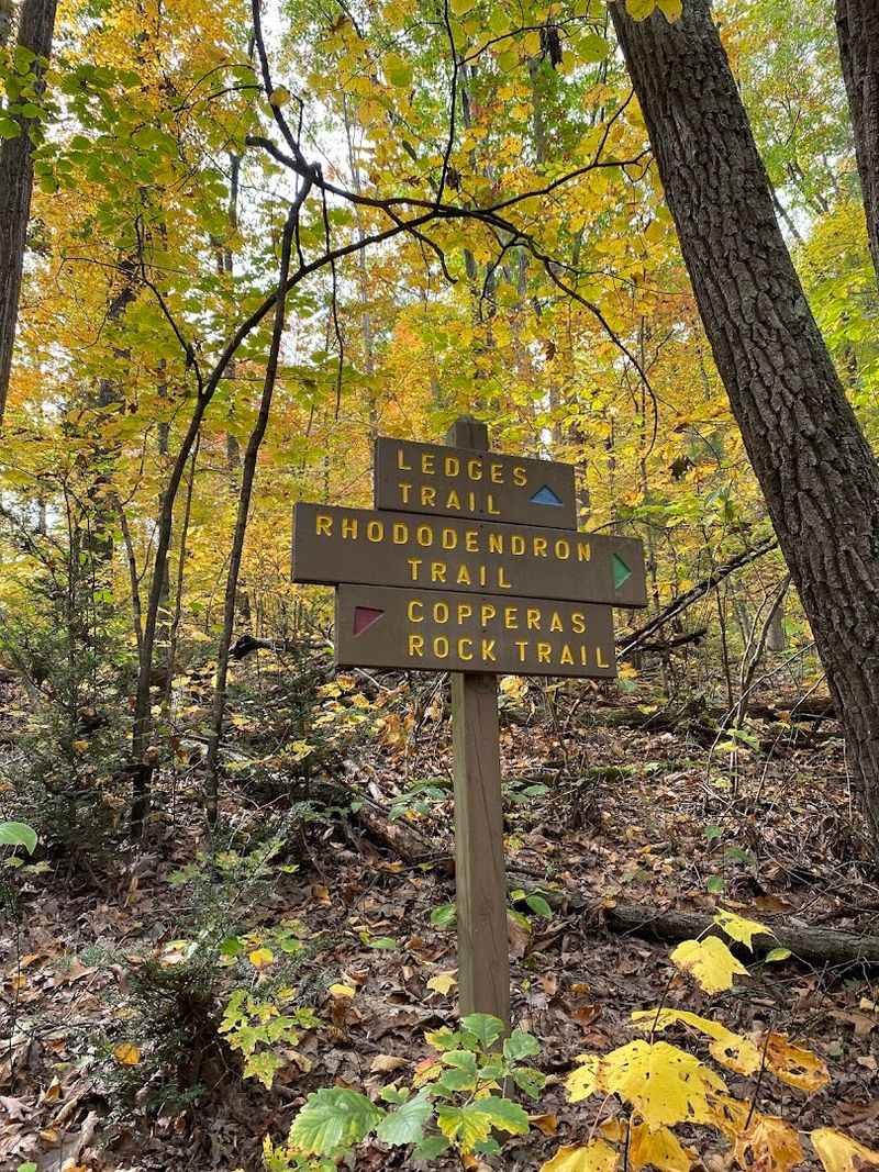 Safety and Seasonal Tips