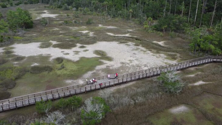 Live Oaks, Salt Marshes, And Easy Trails Make This Georgia Park Worth Adding To A Savannah Weekend