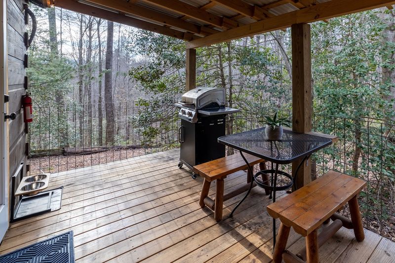 Camping and Cabins: Sleeping Under the Stars in Madison County