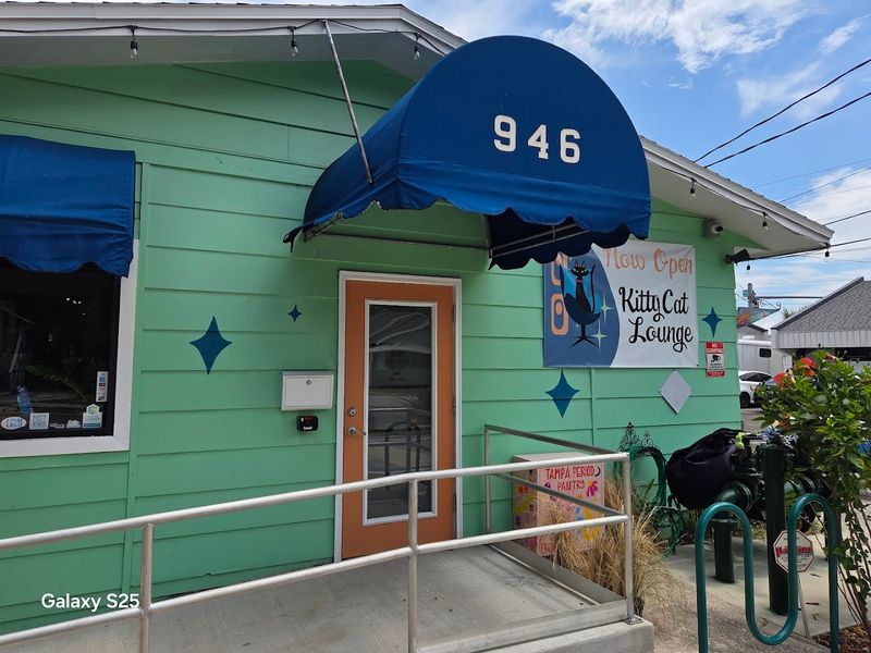 A Cat Caf&eacute; With a Rescue-First Mission