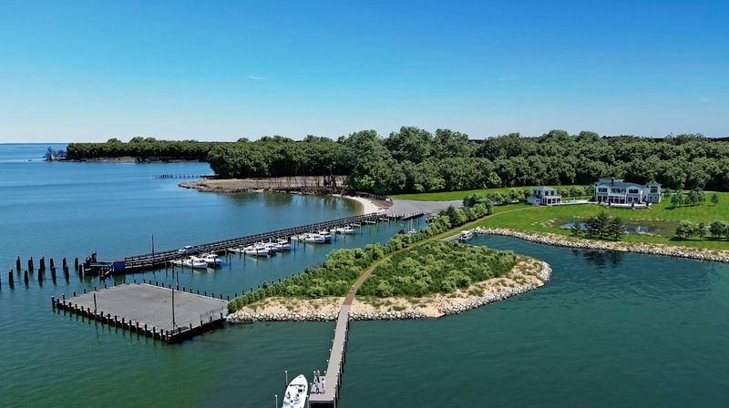 A Deep History Rooted in Resilience