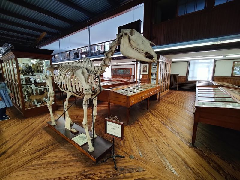 Why the Wagner Deserves More Attention Than It Gets