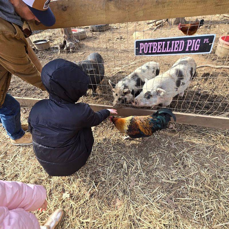 A Diverse Array of Animals