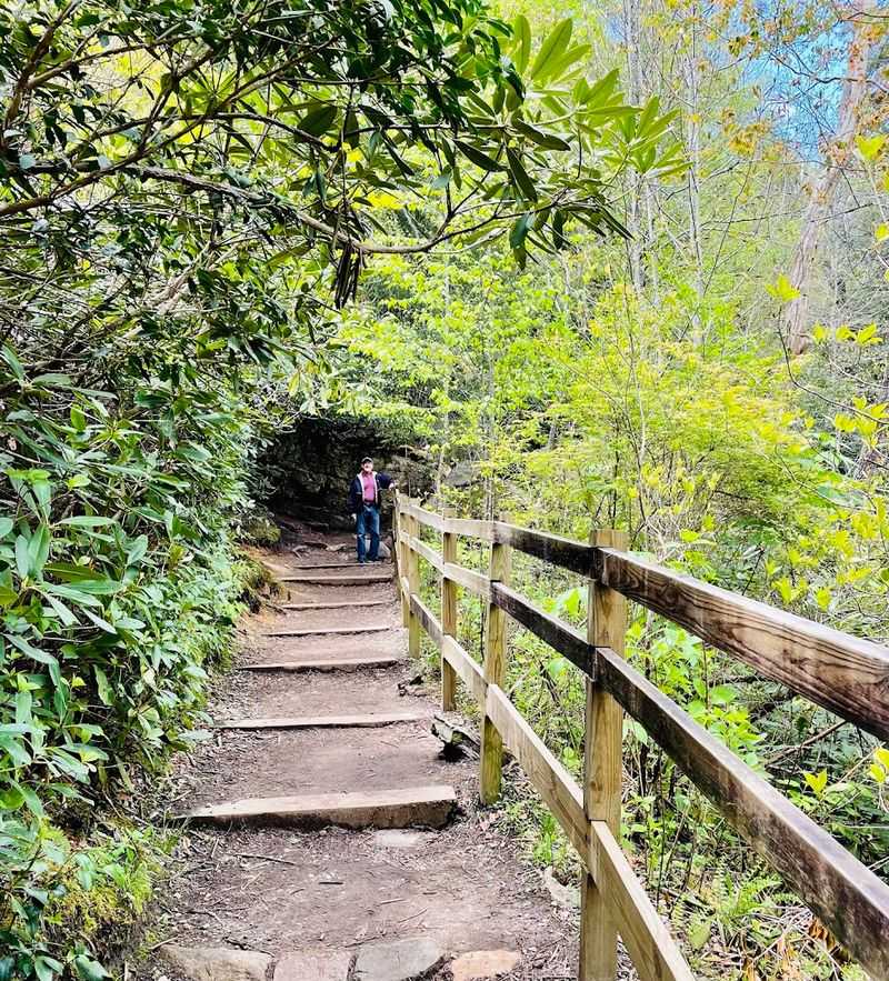 Linville Falls Trail