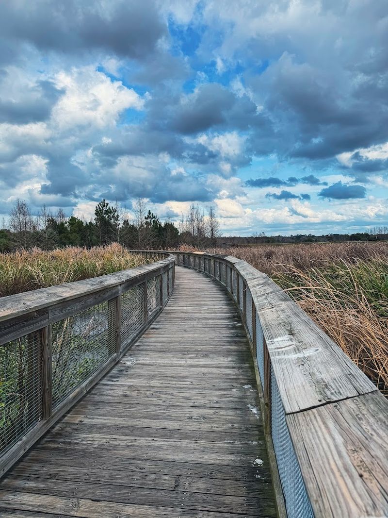 Sweetwater Wetlands Park &mdash; Gainesville, FL