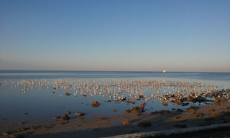 Crystal River National Wildlife Refuge