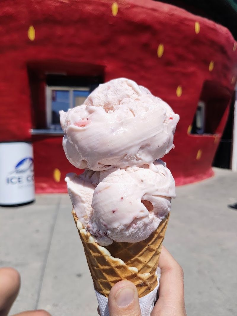 The Berry Patch Ice Cream (Ellerbe)