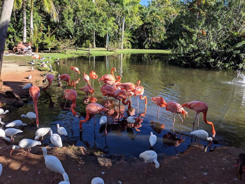 Educational Wildlife Shows