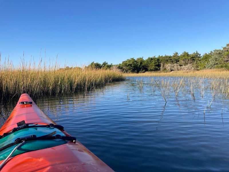 Rachel Carson Reserve &mdash; Beaufort