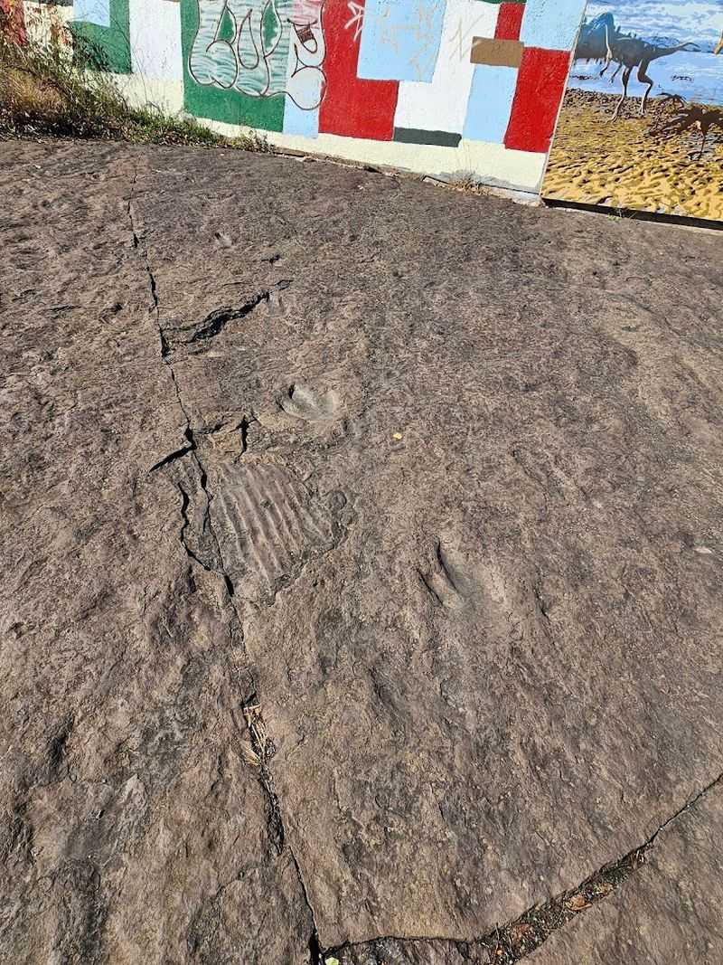 Dinosaur Footprints (Holyoke)
