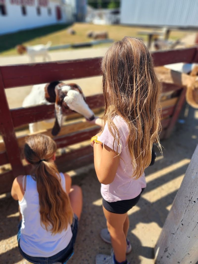 Young&rsquo;s Jersey Dairy - Easter Egg Hunt & Farm Fun