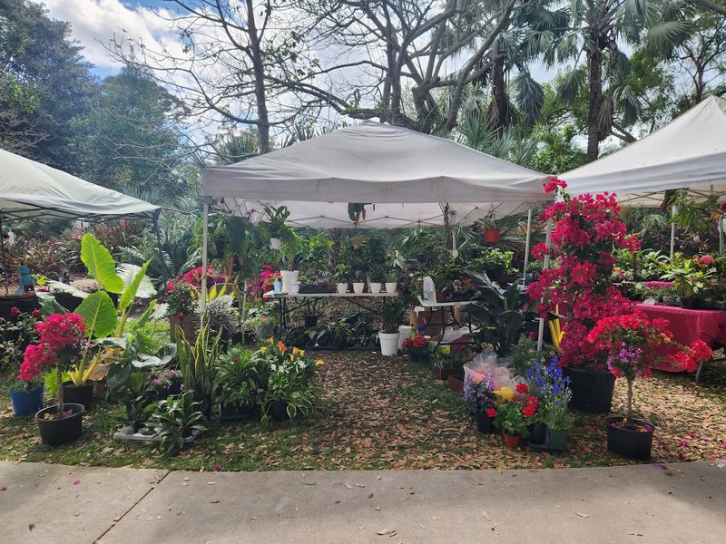 Educational Programs Teaching Sustainable Gardening Techniques