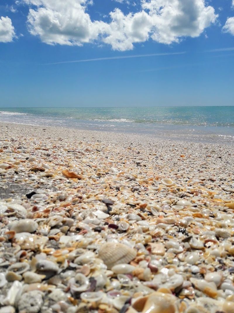 Stump Pass Beach State Park - Englewood