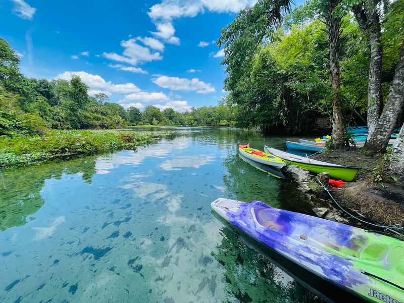 Wekiwa Springs State Park - Apopka, FL
