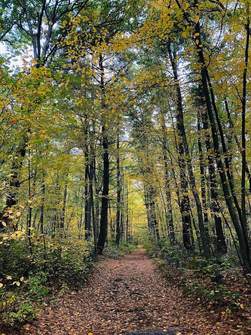 Milford Upper Charles Trail