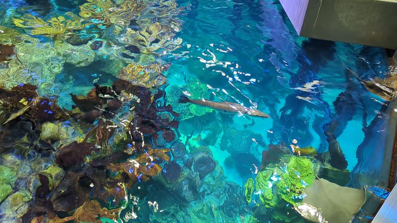 Hands-On and Kid-Friendly Learning