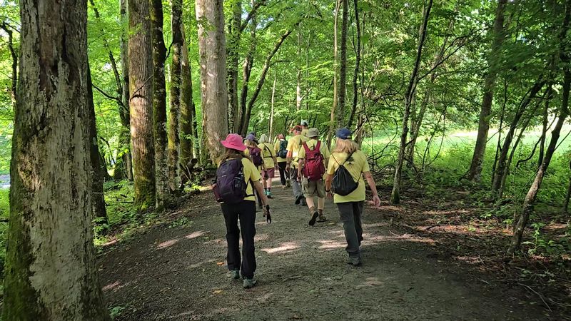 Oconaluftee River Trail