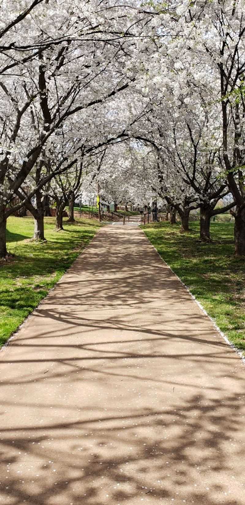 Irwin Creek Greenway