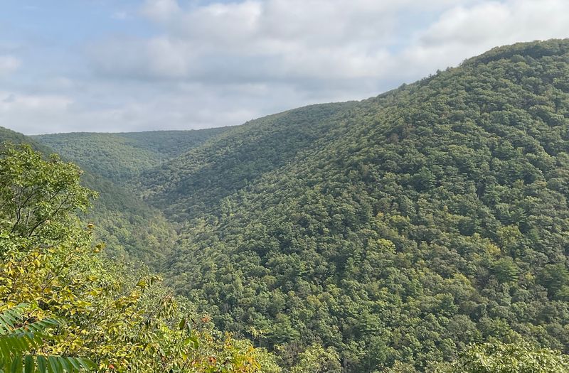 Golden Eagle Trail (Pine Creek Gorge / PA Grand Canyon)