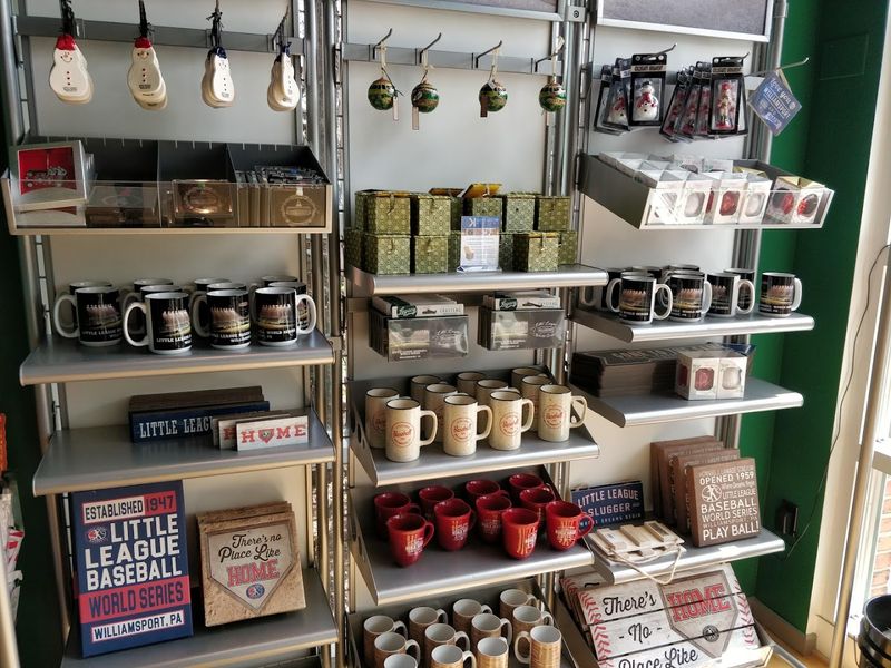 Official Store and Campus Experience