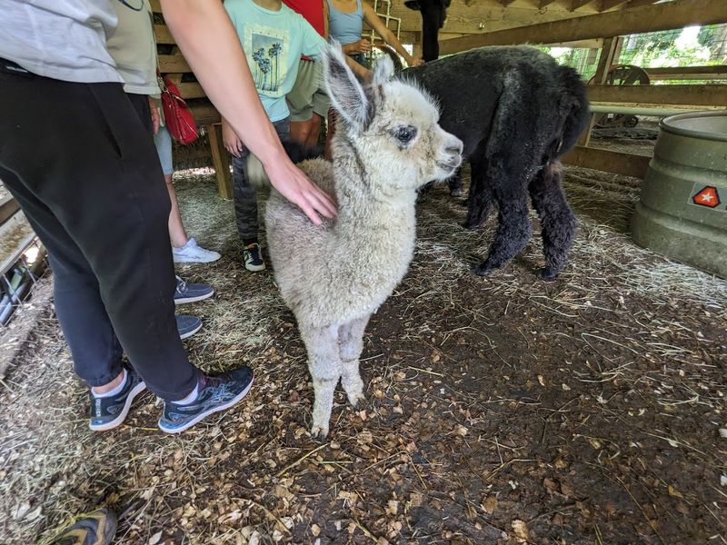 Educational Farm Tours Worth Every Minute