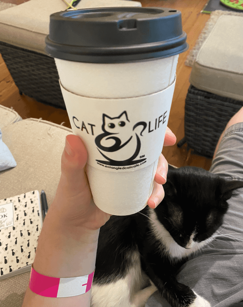Coffee, Treats, and Purr-Friendly Fare