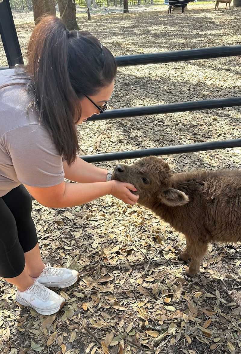 A Hands-On Farm Experience