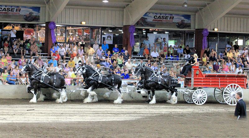 A Family History Rooted in Scotland Since the 1200s