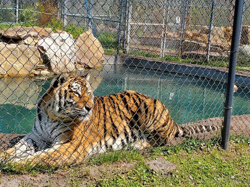 Shockingly Close Encounters