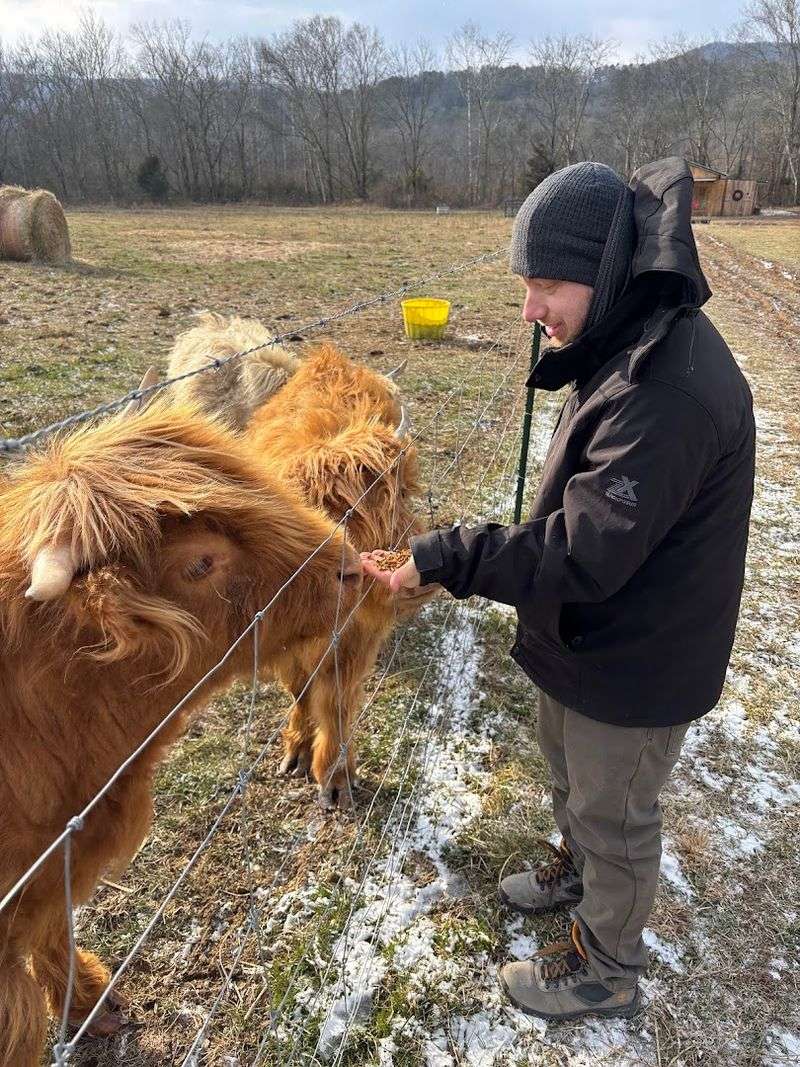 Family-Friendly Tips That Actually Help