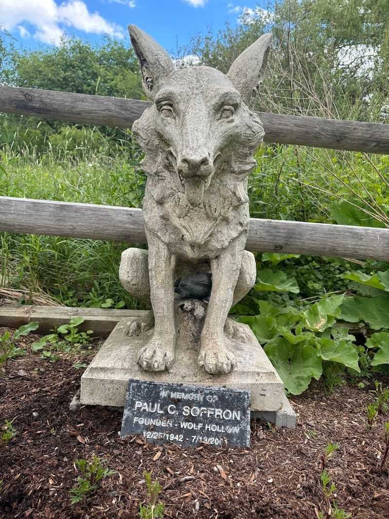 How To Support Wolf Hollow After You Go