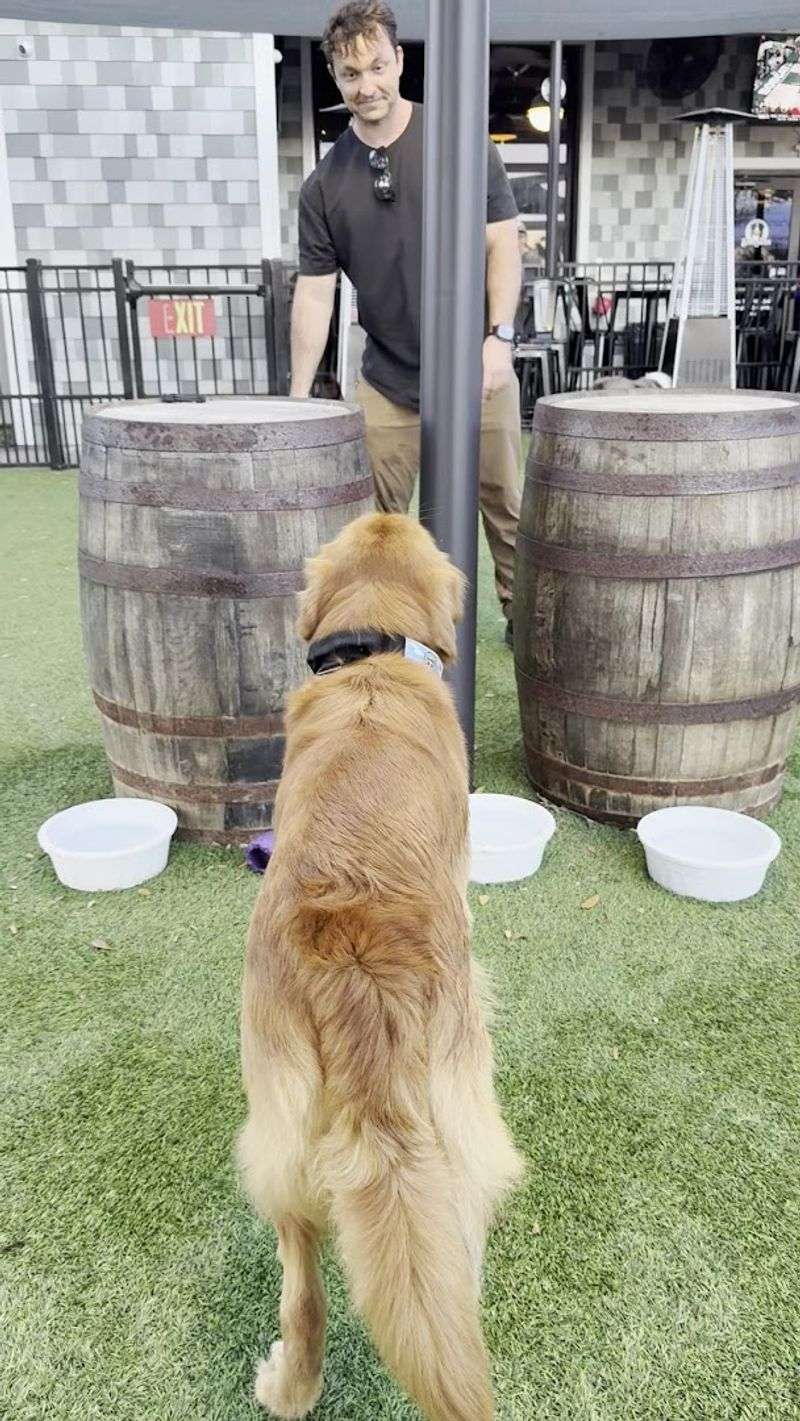 Cleanliness and Professional Staff