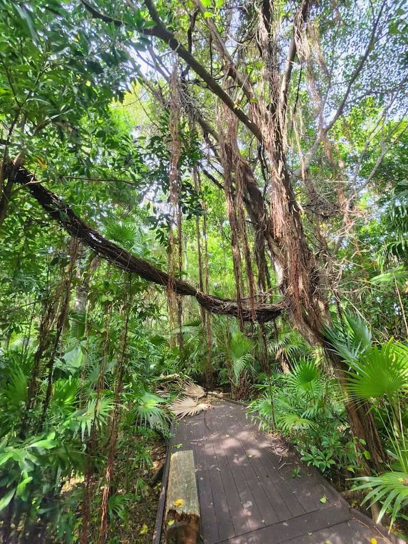 Key West Tropical Forest & Botanical Garden