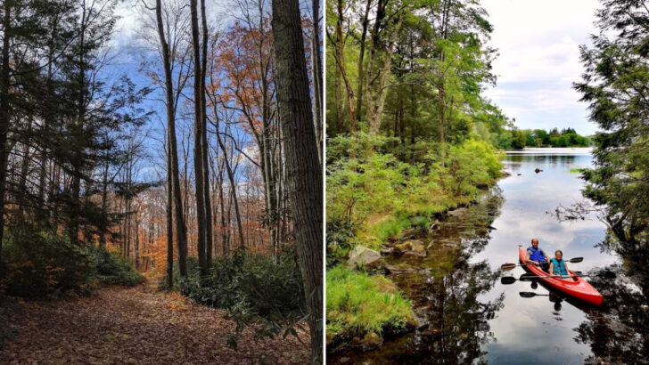 Miles of Forest Trails and Calm Lakes Make This Pennsylvania Park Worth Exploring