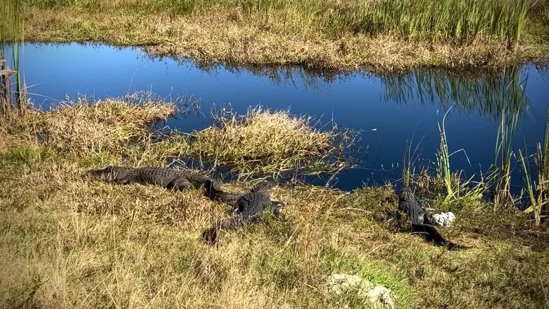 Prairie Ponds and Wetlands That Bring the Landscape to Life