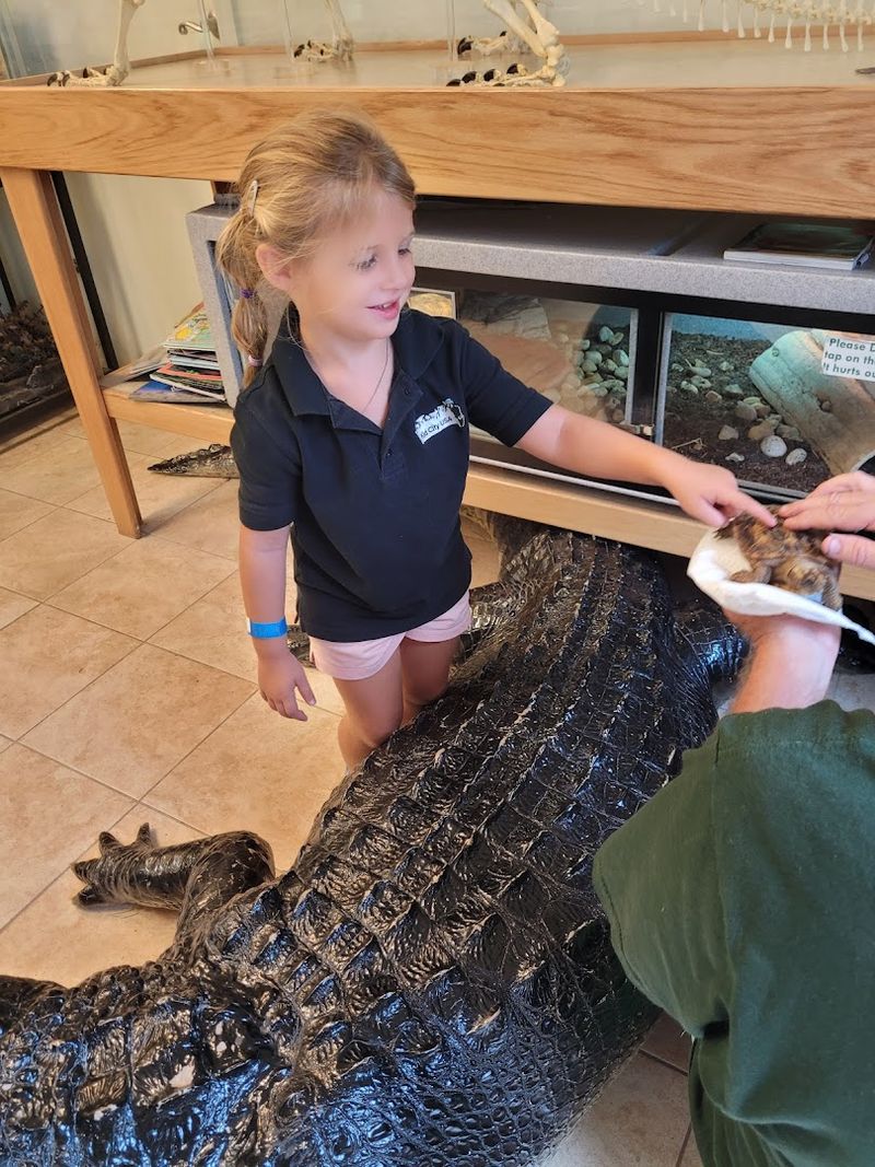 The Reptile Room: A Surprise Around Every Corner