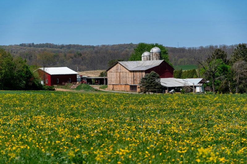 Blooming Meadows Farm