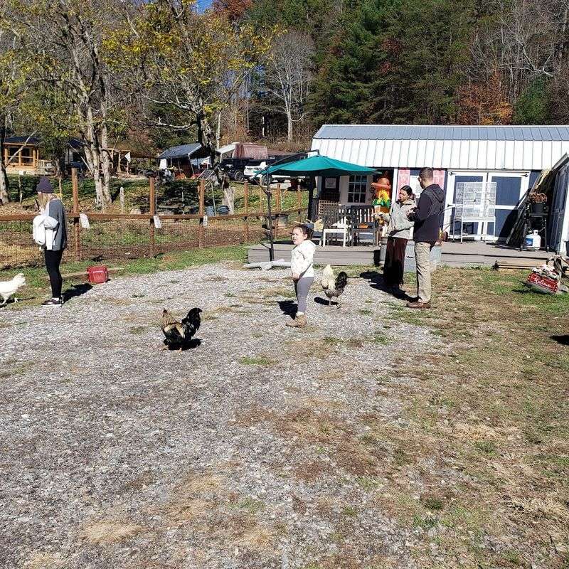 Visitor Amenities and On-Site Features