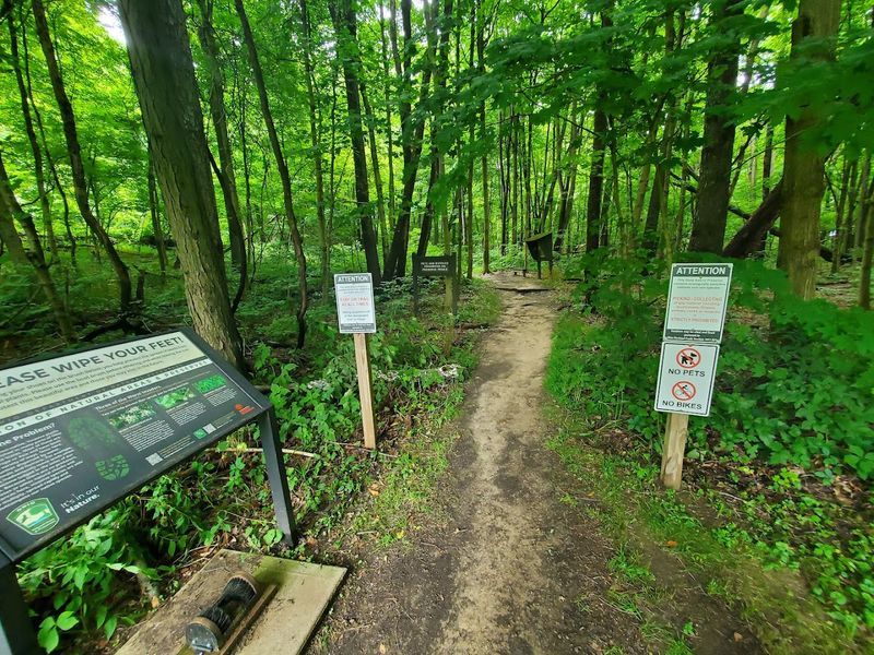 Shallenberger State Nature Preserve — A Small Hill, a Sea of Wildflowers, Almost No One Else
