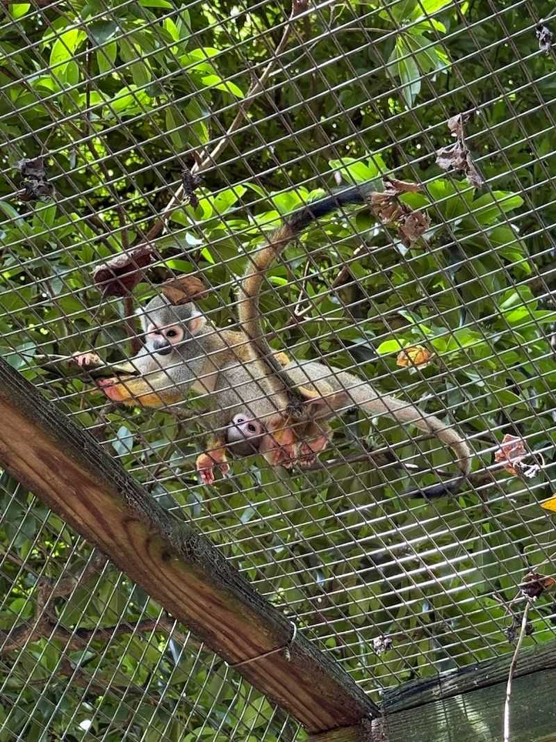 Conservation and Education Mission